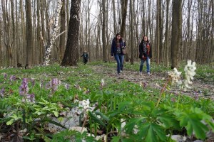 Мезинський національний природний парк